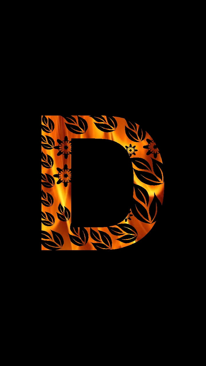 DD Logo Image